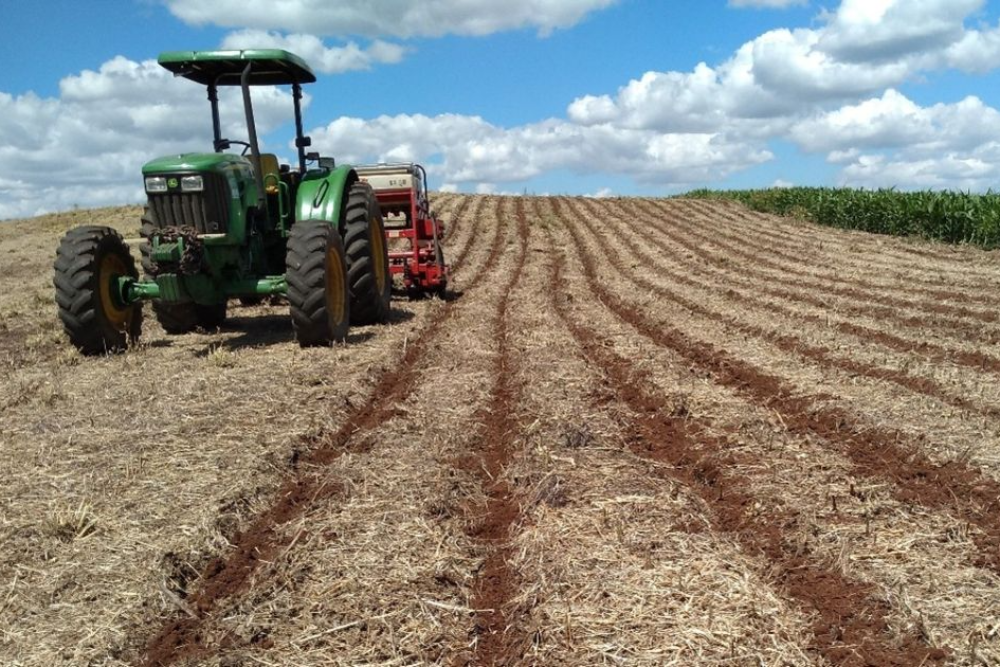 capa da noticia - norte rs portal de noticias sarandi, palmeira das missões, ultimas noticias