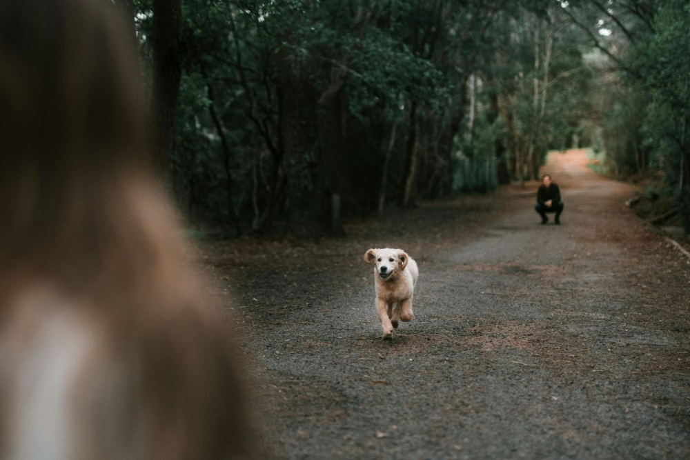 capa da noticia - norte rs portal de noticias sarandi, palmeira das missões, ultimas noticias